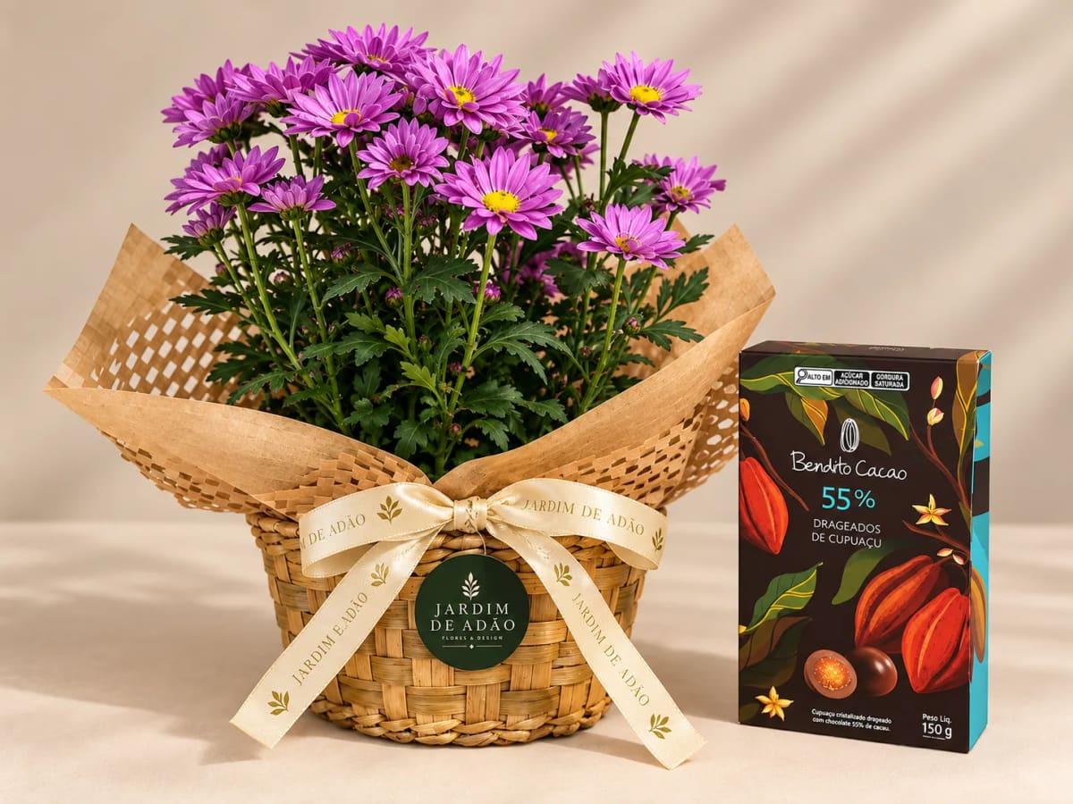Dueto Jardim de Crisântemos & Chocolate